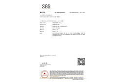 三防漆SGS检测报告images
